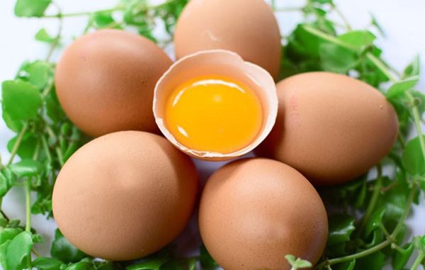 Trứng gà rất giàu collagen, có thể dùng làm mặt nạ dưỡng ẩm hoặc xử lý mụn trứng cá xuất hiện trên da.
