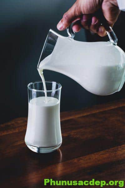 Sữa tươi có các vitamin và dưỡng chất cho cơ thể