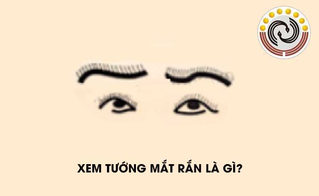 xem 20tuong 20mat 20ran 20la 20gi