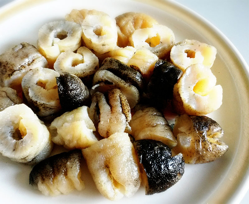 Hải sâm là loại hải sản cực quý hiếm ở Phú Quốc (Ảnh: Sưu tầm)